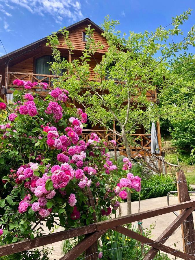 Mtirala Hotel Chakvi Kültér fotó